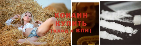 молекула духа Медвежьегорск