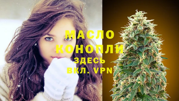 молекула духа Медвежьегорск