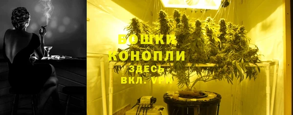 прущие грибы Медногорск