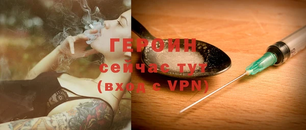 прущие грибы Медногорск