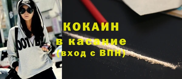 молекула духа Медвежьегорск