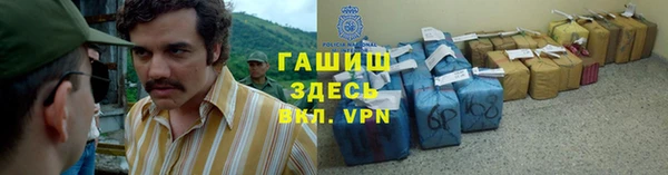прущие грибы Медногорск