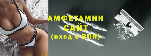 прущие грибы Медногорск