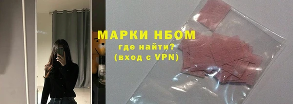 прущие грибы Медногорск