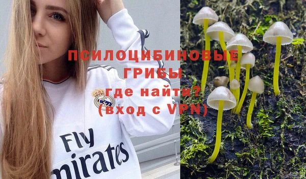 молекула духа Медвежьегорск