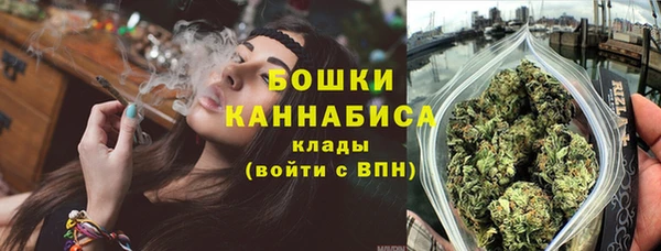 молекула духа Медвежьегорск