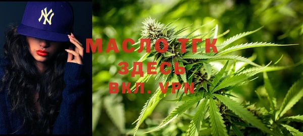 молекула духа Медвежьегорск