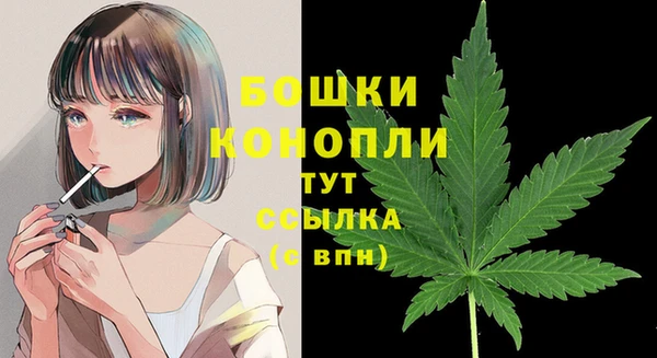прущие грибы Медногорск