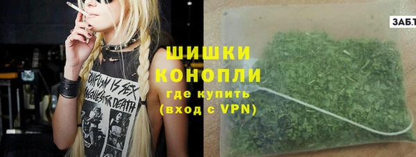 молекула духа Медвежьегорск