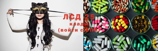 ПСИЛОЦИБИНОВЫЕ ГРИБЫ Баксан
