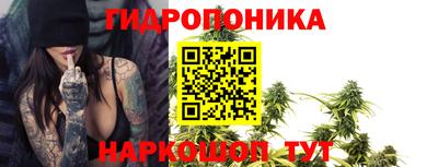 скорость Будённовск