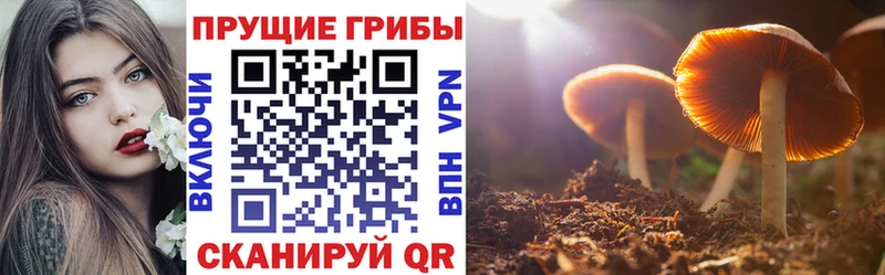 Псилоцибиновые грибы мицелий  Дедовск 