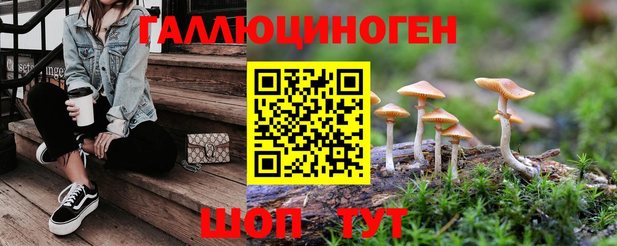 Галлюциногенные грибы Psilocybe  как найти наркотики  Дедовск 