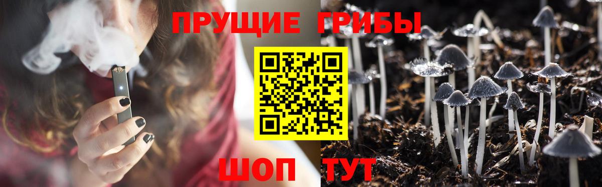 Галлюциногенные грибы GOLDEN TEACHER  Вход с VPN  Дедовск 