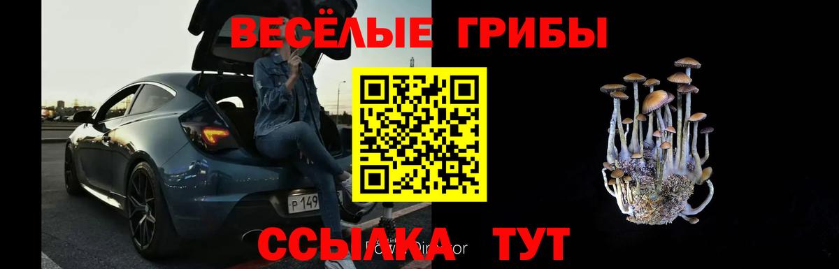 Псилоцибиновые грибы ЛСД Дедовск