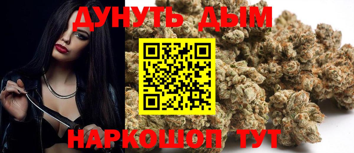 Конопля сатива  Каннабис план  Дедовск 